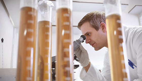 วิเคราะห์น้ำมัน